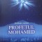NESFARSITA LUMINA. PROFETUL MOHAMED-M.F. GULEN-101598
