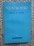 NASCUTI IN FURTUNA - N. OSTROVSKI