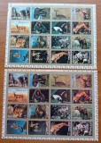 AJMAN-''FAUNA AFRICANA''-2coli-DANT.&amp;NEDANT.-MNH-nestampilat-MNH-Vezi-Scan
