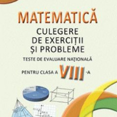 Matematica - Clasa 8 - Culegere de exercitii si probleme - Elefterie Petrescu, Ioan Pelteacu