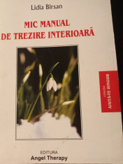 MIC MANUAL DE TREZIRE INTERIOARA - LIDIA BARSAN (BIRSAN), ED ANGEL THERAPY, 2005 foto