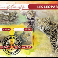 BURKINA FASO 2022 - Fauna africana, Leoparzi /colita