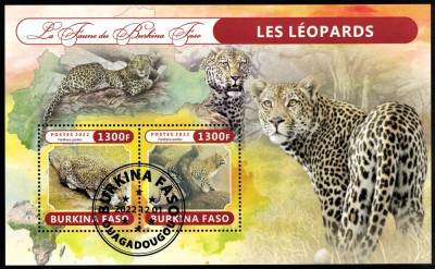 BURKINA FASO 2022 - Fauna africana, Leoparzi /colita foto