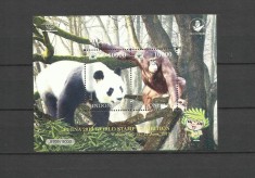 INDONESIA 2019 FAUNA ANIMALE SALBATICE URSI PANDA SI ORANGUTAN foto