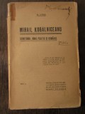 MIHAIL KOGALNICEANU. SCRIITORUL, OMUL POLITIC SI ROMANUL - N. IORGA