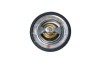 NRF 725149 EASY FIT termostat,lichid racire
