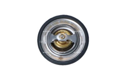 NRF 725149 EASY FIT termostat,lichid racire foto