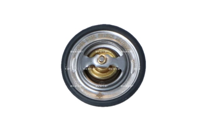 NRF 725149 EASY FIT termostat,lichid racire