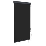 Cumpara ieftin Jaluzea tip rulou de exterior, antracit, 100 x 250 cm