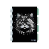 Caiet cu Spirala si Separatoare Strigo Pads Project Book PISICA B5, Dictando
