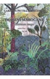 Imagini marocane pentru pian - Carmen Petra-Basacopol