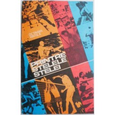 Printre stelele Stelei &ndash; Octavian Vintila