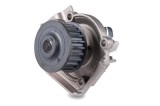 HEPU P1058 Pompă de apă, răcire motor