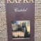 Franz Kafka - Castelul