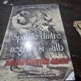 SPATIILE DINTRE NEGRU SI ALB - DUMITRU POPESCU