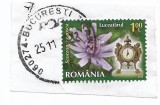 Romania - Ceasul florilor, 2013 - valoare obliterata