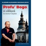 Profu&amp;amp;rsquo; Bogo, o calauza in istoria Clujului - Vladimir-Alexandru Bogosavlievici