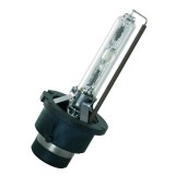 Bec xenon D2S