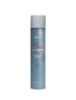 Lac fixativ spray FINALIZING PRO - 500 ml, Pro.Co