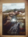 Somn pe patul pustii- Vasile Filip