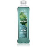 Cumpara ieftin Radox Feel Restored Stress Relief spuma de baie Rosemary &amp; Eucalyptus 500 ml