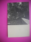 HOPCT 360 D SCARI LA MUNTE -FOTOGRAFIE VECHE-TIP CP ROMANIA