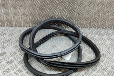 Garnitura ușă dreapta spate BMW X3 G01, F97 2020 OEM: 7393449 | 22584763 foto