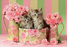 Puzzle Educa - Kittens With Roses 500 piese (17960) foto