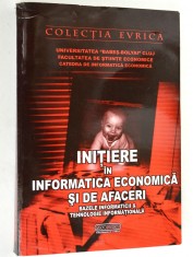 Initiere in informatica economica si de afaceri - 2003