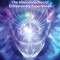 Convergence: The Interconnection of Extraordinary Experiences