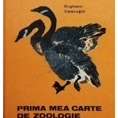 EVGHENI CEARUSIN - PRIMA MEA CARTE DE ZOOLOGIE (editia 1980)