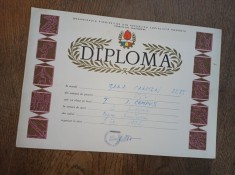 ORGANIZATIA PIONIERILOR DIN R.S.R. * DIPLOMA