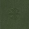 Liturgy of the Hours (Vol. 4)