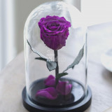 Cumpara ieftin Trandafir Criogenat XL mov-purpuriu &Oslash;6,5cm in cupola