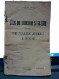 Zile de sbucium si glorie - Ion D. Isac vol.I Pe valea Jiului 1916