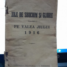 Zile de sbucium si glorie - Ion D. Isac vol.I Pe valea Jiului 1916