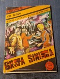 Grota sinistra Ion Baiesu benzi desenate de D. D. Iormeanu