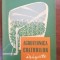 Agrotehnica culturilor irigate- Vi. Ionescu Sisesti, Sp. Boeru