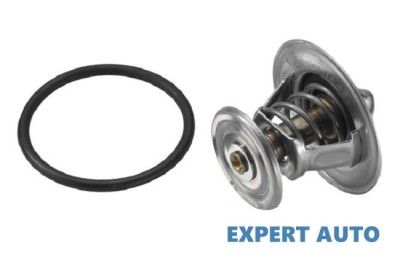 Termostat Seat Cordoba (2002-2009)[6L2] foto