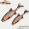 Shad Fast Strike Roach, RNB Roach Natural Blue, 10cm, 9g