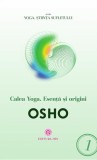 Calea Yoga. Esență și origini - Editura Editura MIX