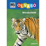 Macskaf&eacute;l&eacute;k - Mi Micsoda Olvas&oacute; - Christina Braun