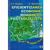 N.G. Niculescu, I.D. Adumitracesei - Eficientizarea economiei romanesti postsocialiste - 133517