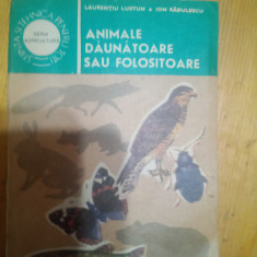 Animale daunatoare sau folositoare-Laurentiu Lustun,Ion Radulescu