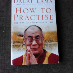 HOW TO PRACTISE, THE WAY TO A MEANINGFUL LIFE - DALAI LAMA (CARTE IN LIMBA ENGLEZA)