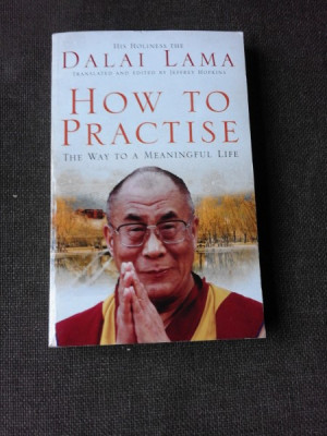 HOW TO PRACTISE, THE WAY TO A MEANINGFUL LIFE - DALAI LAMA (CARTE IN LIMBA ENGLEZA) foto