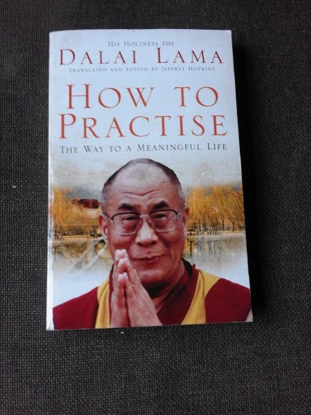 HOW TO PRACTISE, THE WAY TO A MEANINGFUL LIFE - DALAI LAMA (CARTE IN LIMBA ENGLEZA)