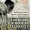 A Training School for Elephants