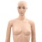 Manechin feminin A - 5