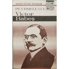 Pe urmele lui Victor Babes - Mihai Neagu Basarab